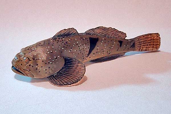 アユカケ カマキリ 専門 釣絶 魚ゲノム